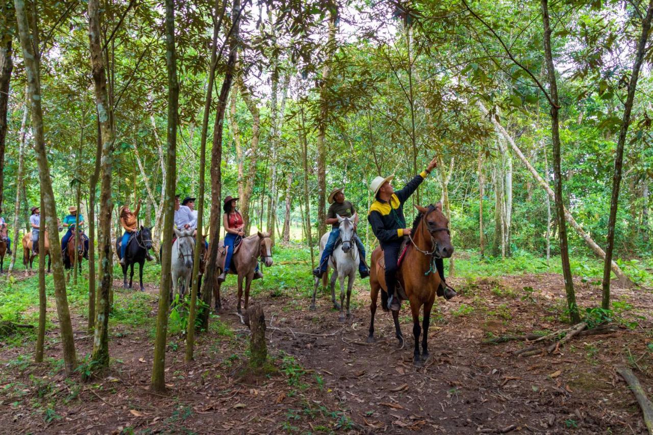 Hotel Campestre La Potra Apiay ภายนอก รูปภาพ